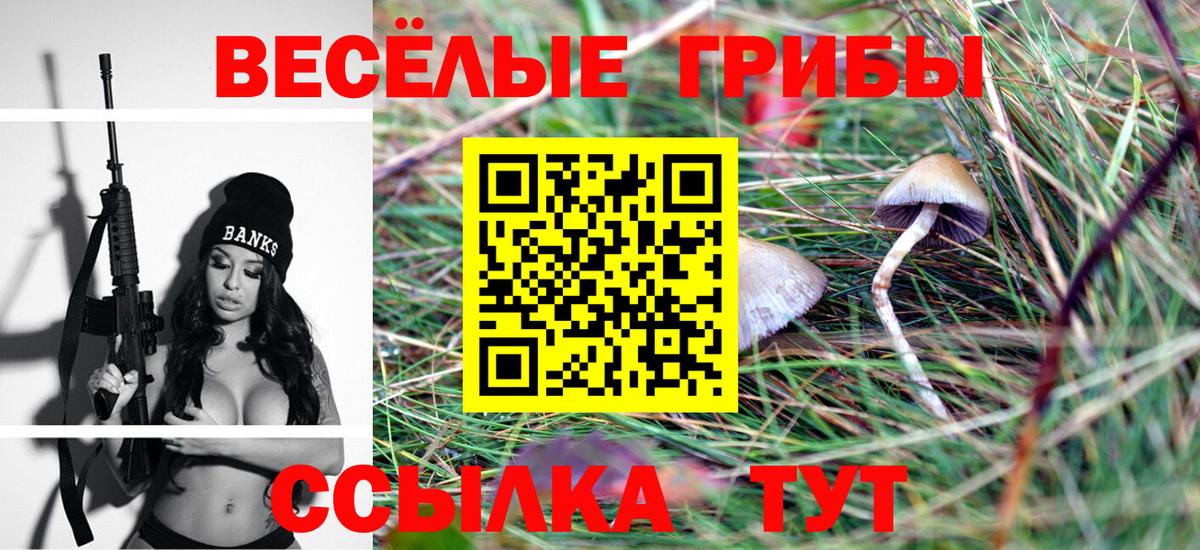Грозный  Галлюциногенные грибы Magic Shrooms  Галлюциногенные грибы ЛСД  Вход с VPN 