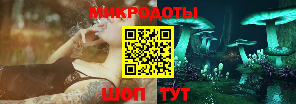 Галлюциногенные грибы Psilocybe Грозный