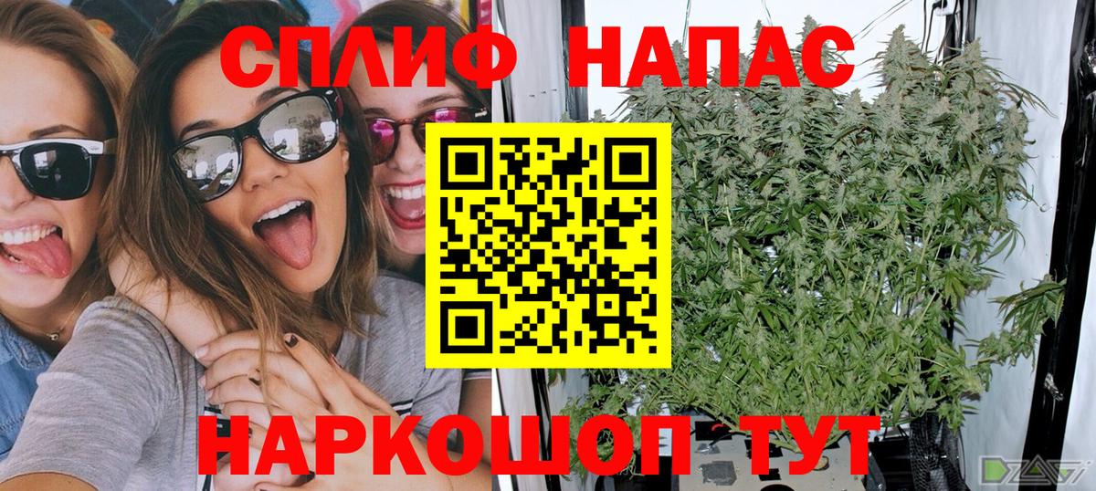 Шишки марихуана план Грозный